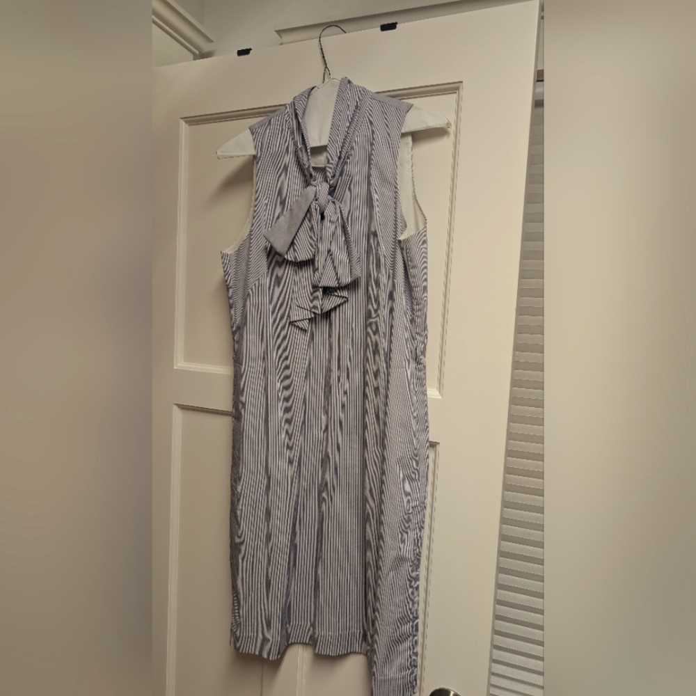 Banana Republic Blue and White Striped Dress
